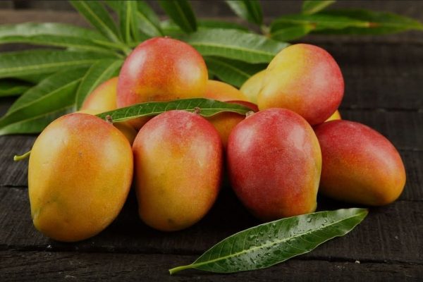 Benefits of Eating Mango: